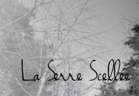/album/bienvenue-accueil/la-serre-scellee-png/